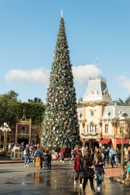 Christmas Tree in Disneyland